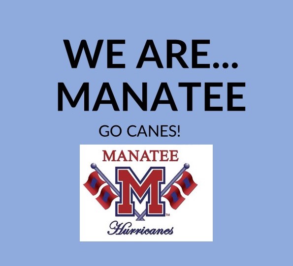  School flag logo
